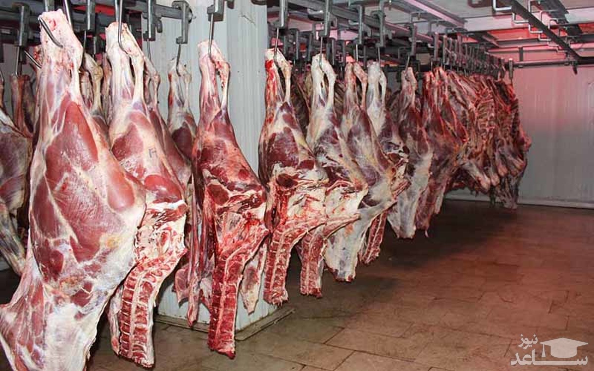 افشاگری عجیب رییس شورای تامین دام درباره افزایش قیمت گوشت