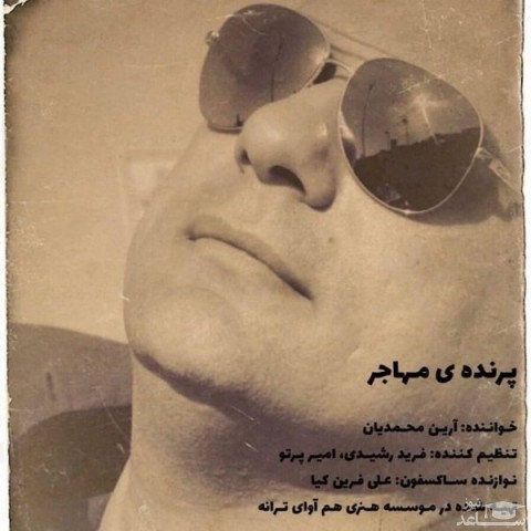 دانلود آهنگ پرنده ی مهاجر از آرین محمدیان