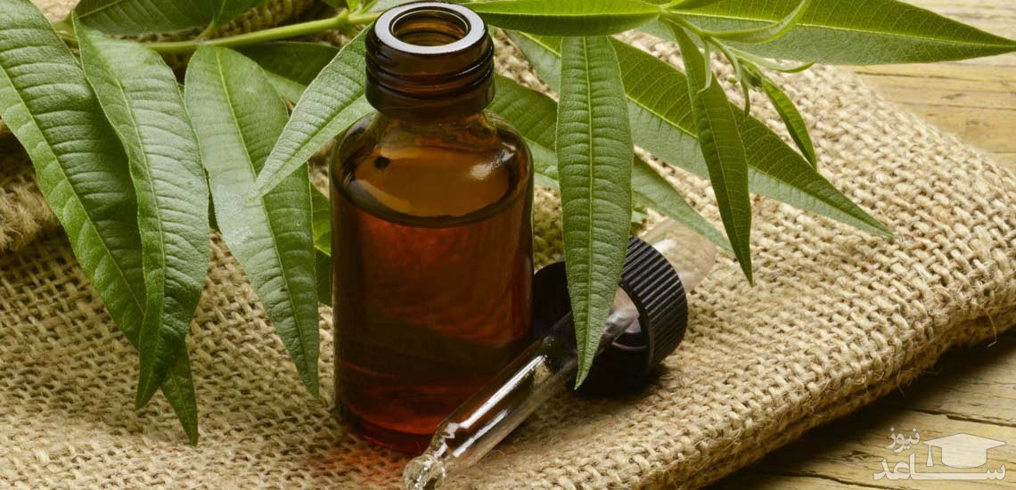 کاربرد روغن درخت چای در زیبایی