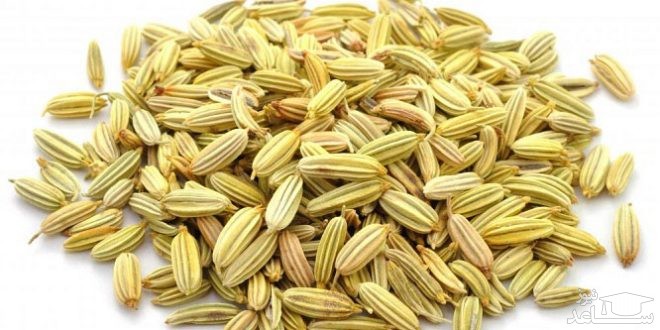 خواص گیاه رازیانه و نحوه مصرف آن