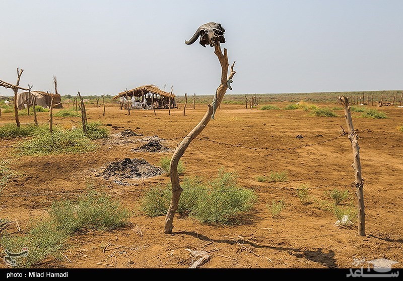 بازگشت آب به هورالعظیم