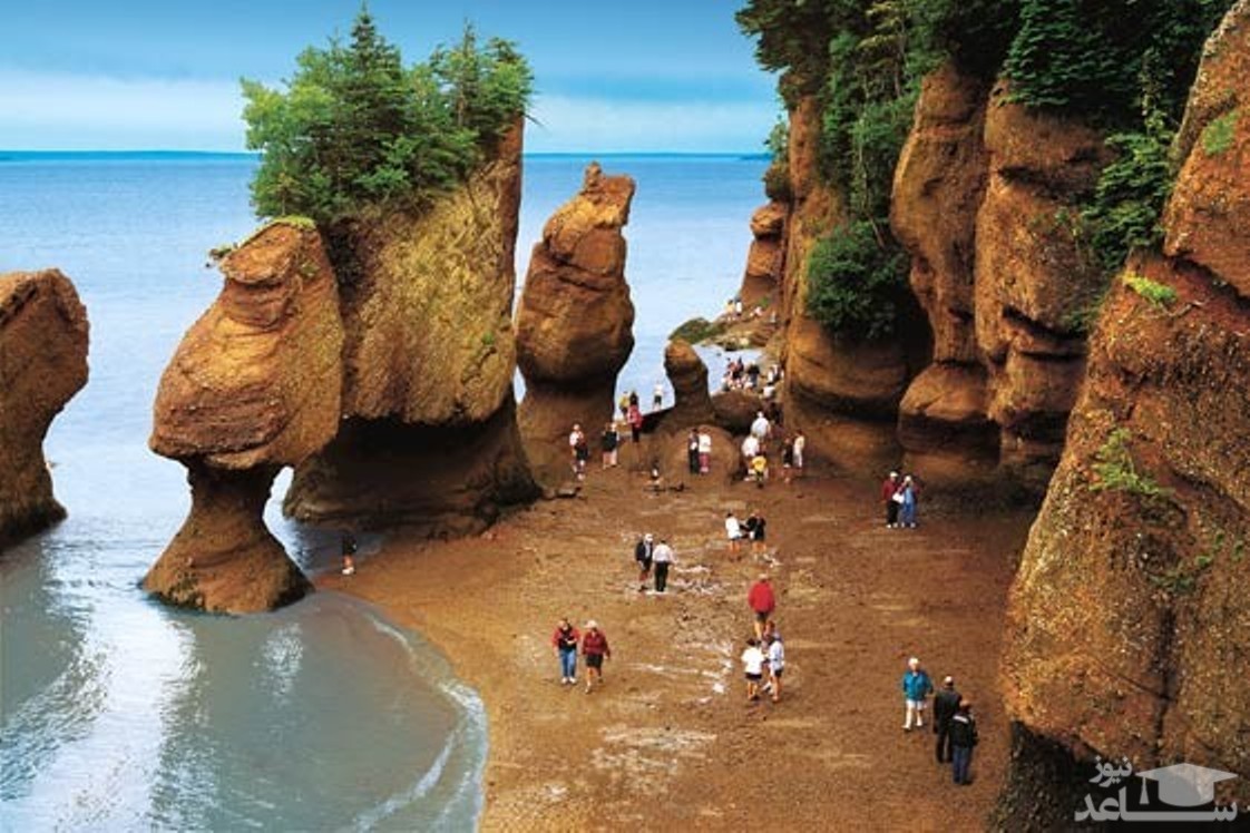  جزر و مد خلیج فاندی