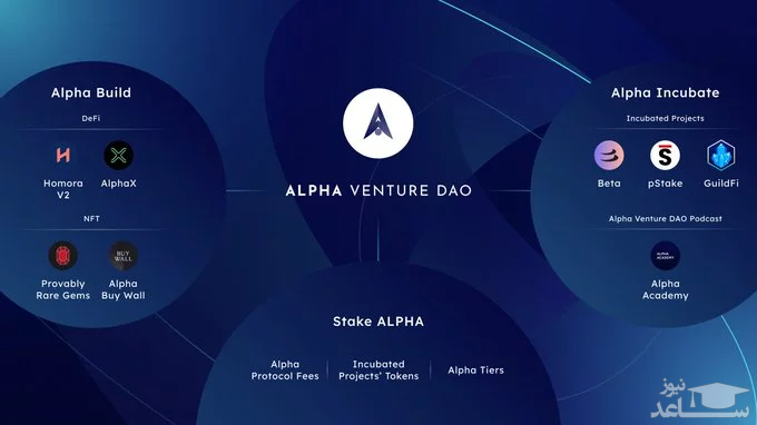 پلتفرم Alpha Venture DAO