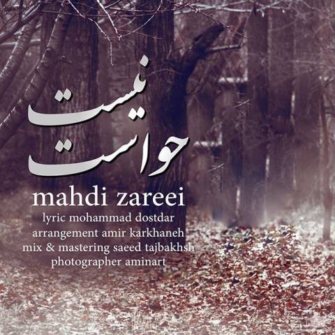 دانلود آهنگ حواست نیست از مهدی زارعی