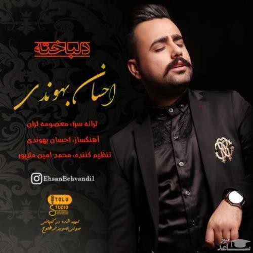 دانلود آهنگ دلباخته از احسان بهوندی