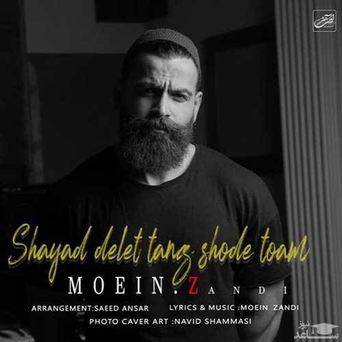 دانلود آهنگ شاید دلت تنگ شده توام از معین زد