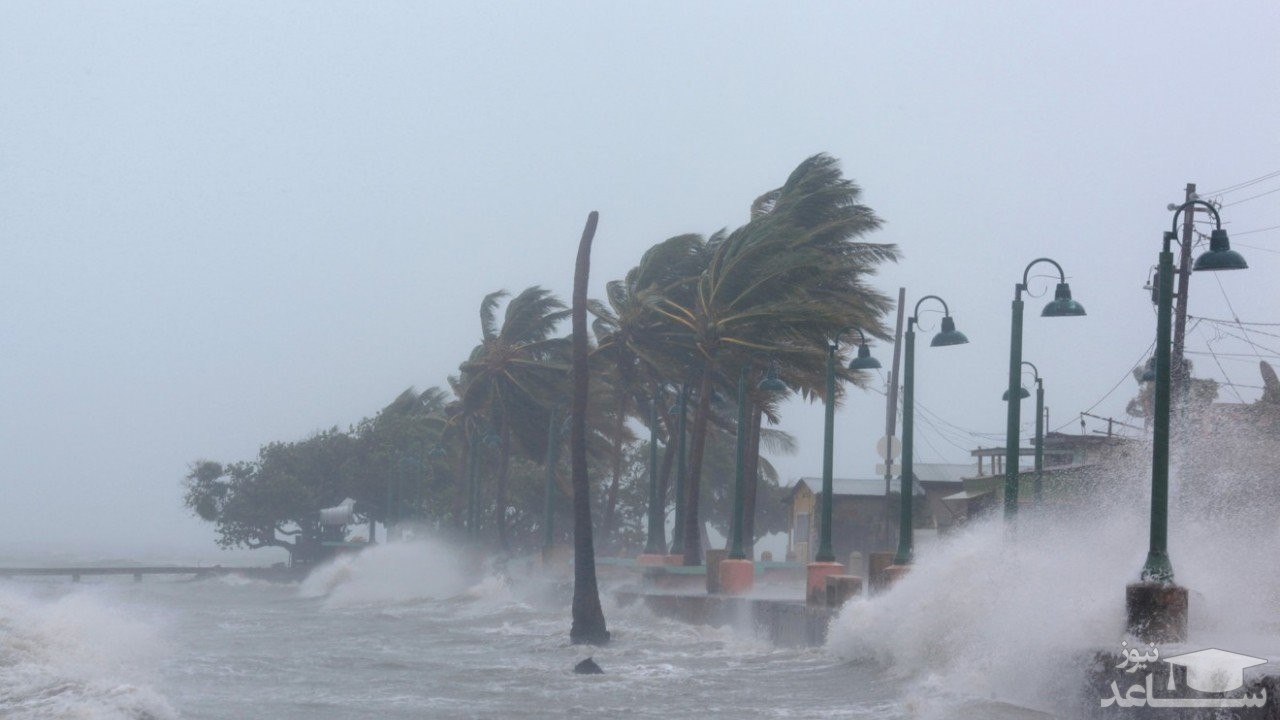 (فیلم) تصاویری هولناک از طوفان سهمگین السا در فلوریدا