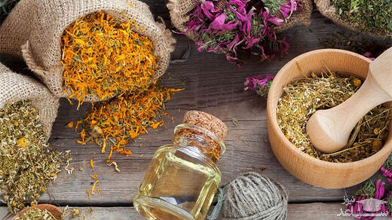 (فیلم) آیا گیاهان دارویی برای درمان کرونا موثر هستند؟ 