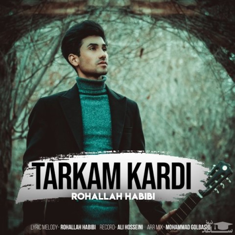 دانلود آهنگ ترکم کردی از روح الله حبیبی