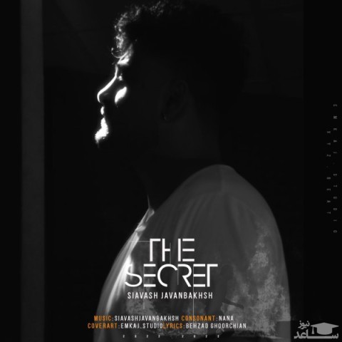 دانلود آهنگ راز از سیاوش جوانبخش