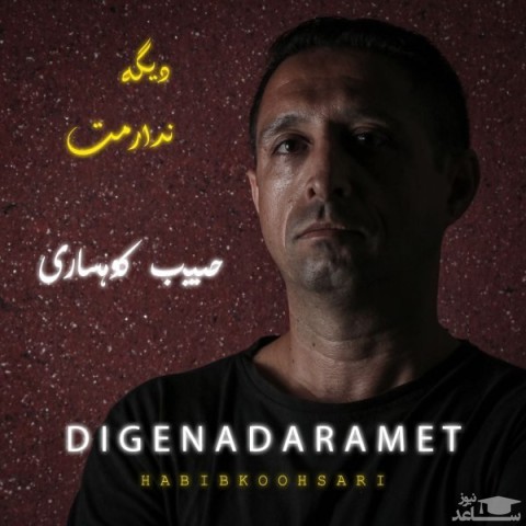 دانلود آهنگ دیگه ندارمت از حبیب کوهساری