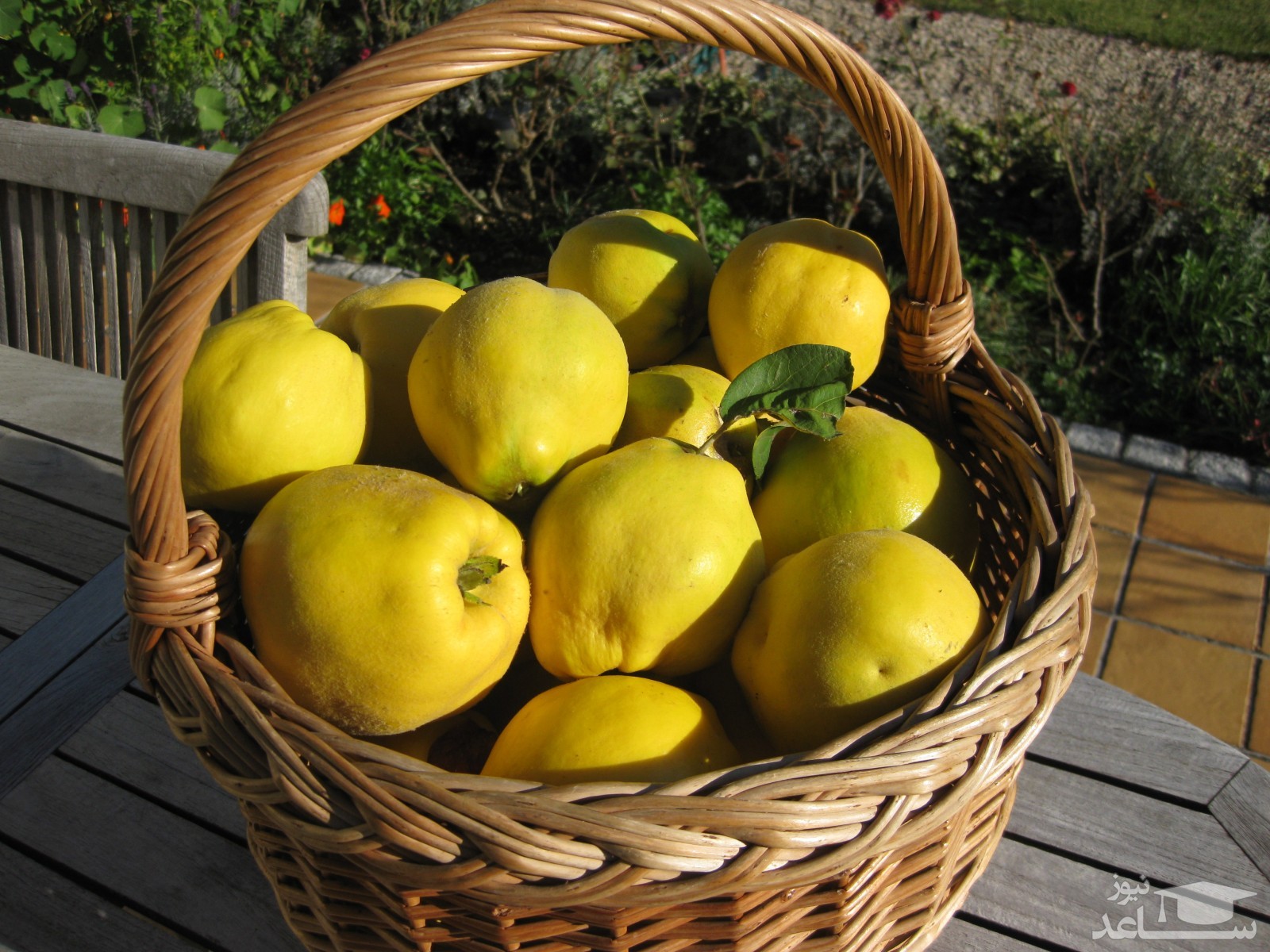 خواص شگفت انگیز میوه به برای سلامتی
