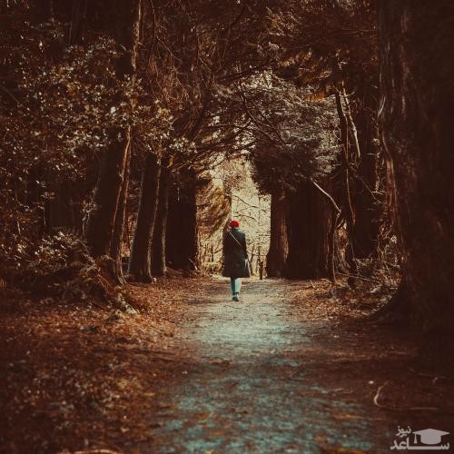 دانلود آهنگ راه رفتن روی برگ درختان از افکت صوتی انسان و موجودات زنده