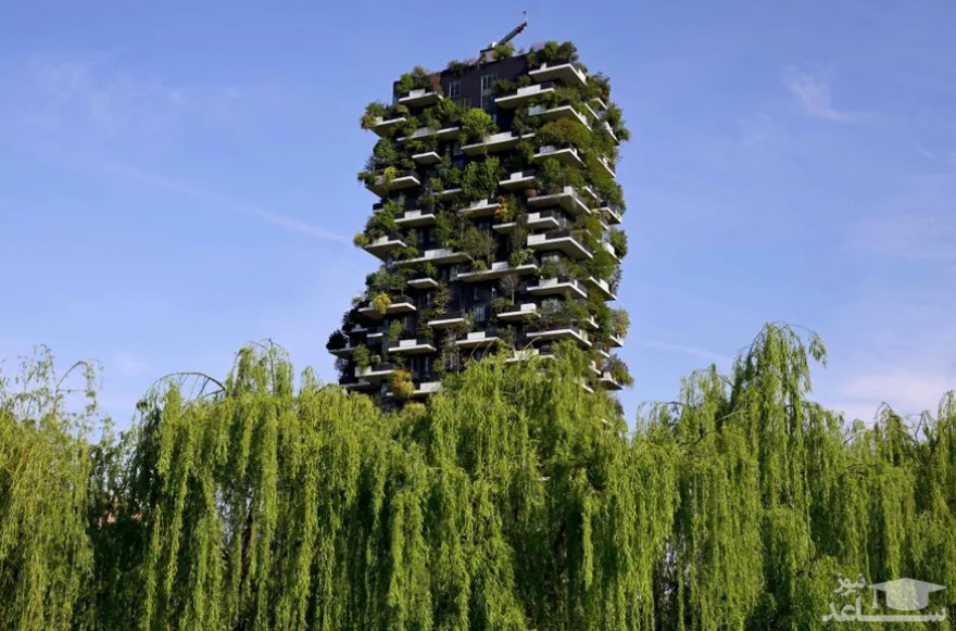برج مسکونی به نام "جنگل عمودی" در شهر میلان ایتالیا/ خبرگزاری فرانسه