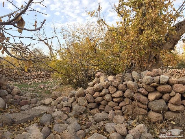 معرفی طبیعت زیبایی روستای «خرو»