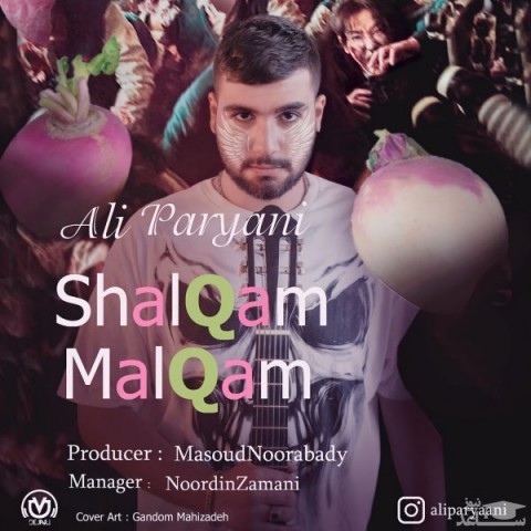 دانلود آهنگ شلغم ملغم از علی پریانی