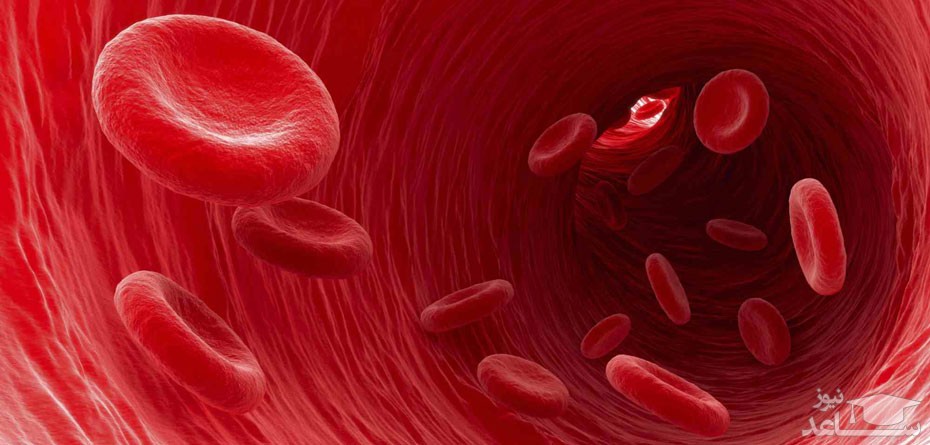 دلایل کاهش و افزایش هموگلوبین خون در بارداری