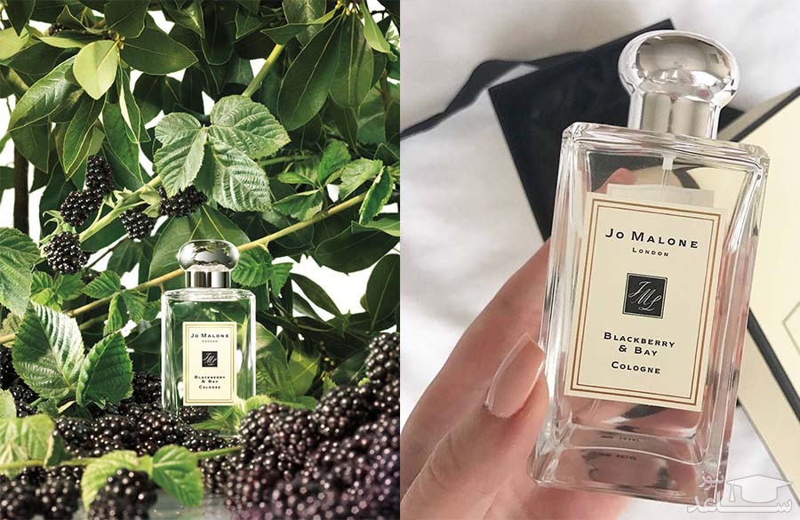 تصویرJo Malone Blackberry & Bay Cologne