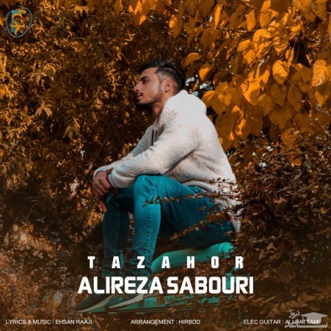 دانلود آهنگ تظاهر از علیرضا صبوری