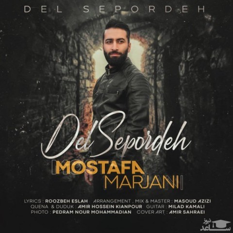 دانلود آهنگ دل سپرده از مصطفی مرجانی