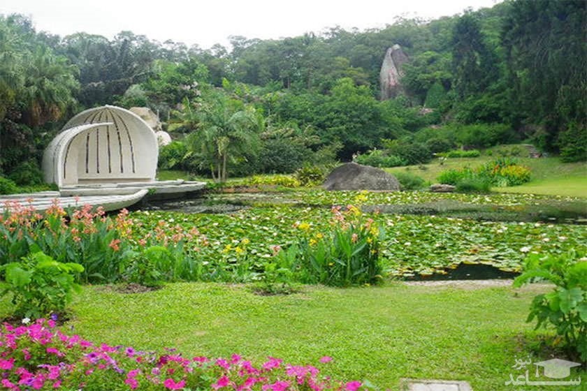 باغ گیاه‌شناسی شیامن