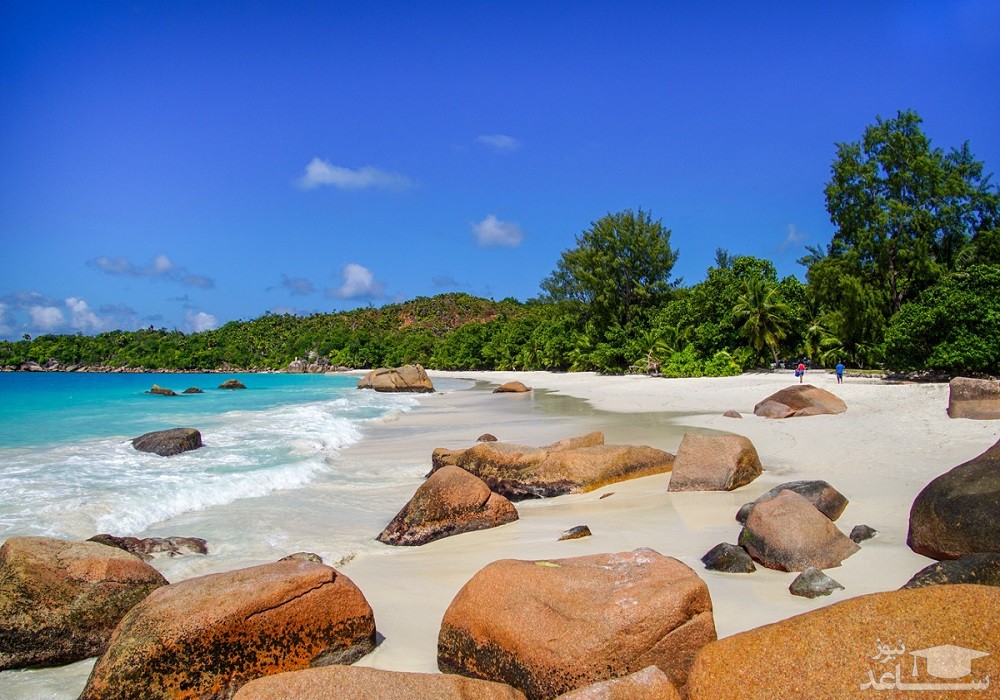 آنزه لاتزیو ، پراسلین