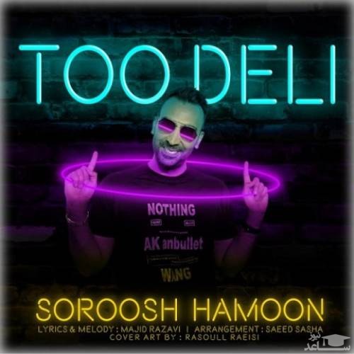 دانلود آهنگ تو دلی از سروش هامون