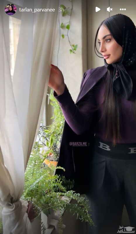 ترلان پروانه