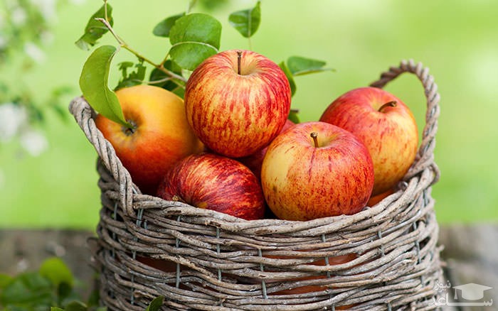 خواص سیب برای سلامتی، پوست و مو