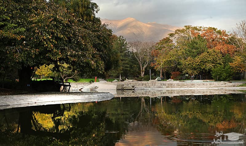 باغ گیاه‌شناسی ملی ایران 