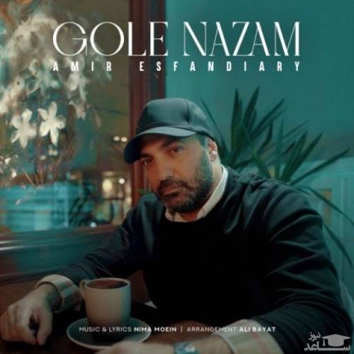 دانلود آهنگ گل نازم از امیر اسفندیاری