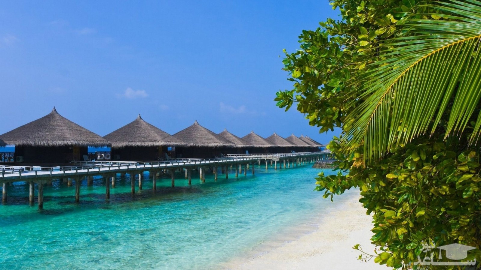 در Rangiroa غواصی کنید Diving in Rangiroa