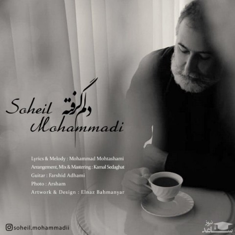 دانلود آهنگ دلم گرفته از سهیل محمدی