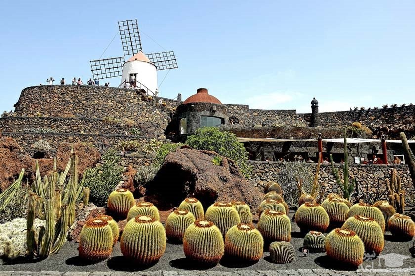 باغ کاکتوس‌