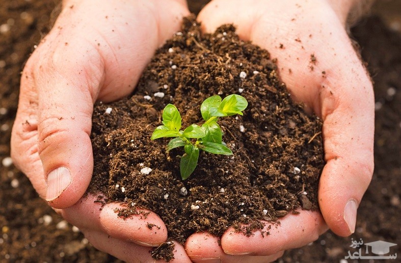 نقش خاک در کاهش استرس و اضطراب