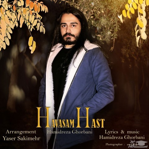 دانلود آهنگ حواسم هست از حمیدرضا قربانی