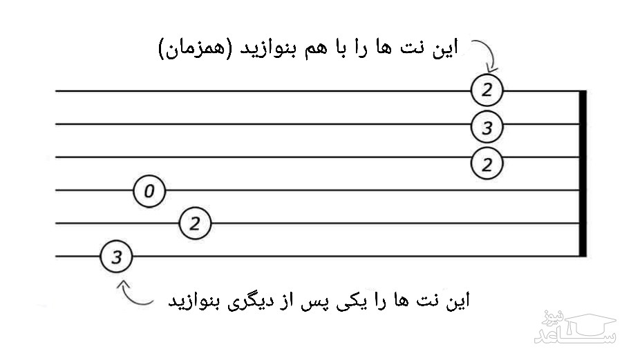 نت های تبلچر