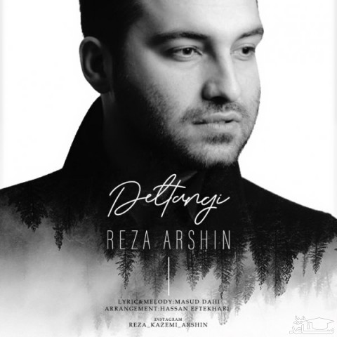 دانلود آهنگ دلتنگی از رضا آرشین