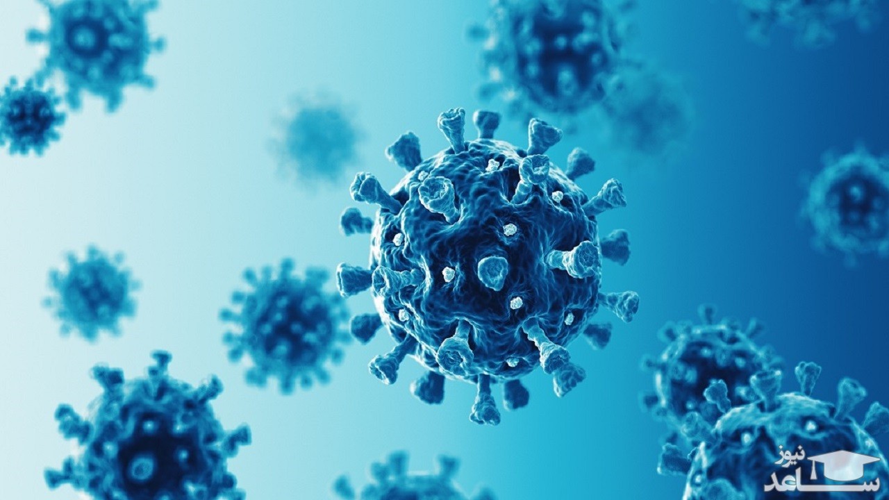 اینفوگرافی| وضعیت استانی و آمار کرونا در ایران- ۵ شهریور ۱۳۹۹