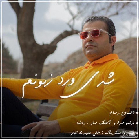 دانلود آهنگ شدی ورد زبونم از احسان رسام