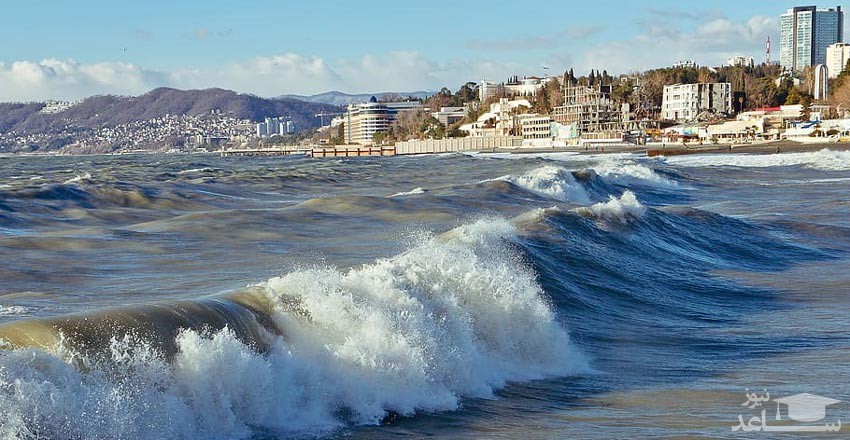 ساحل دریای سیاه