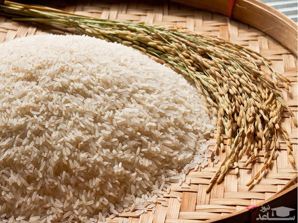 برنج به همراه شلتوک 