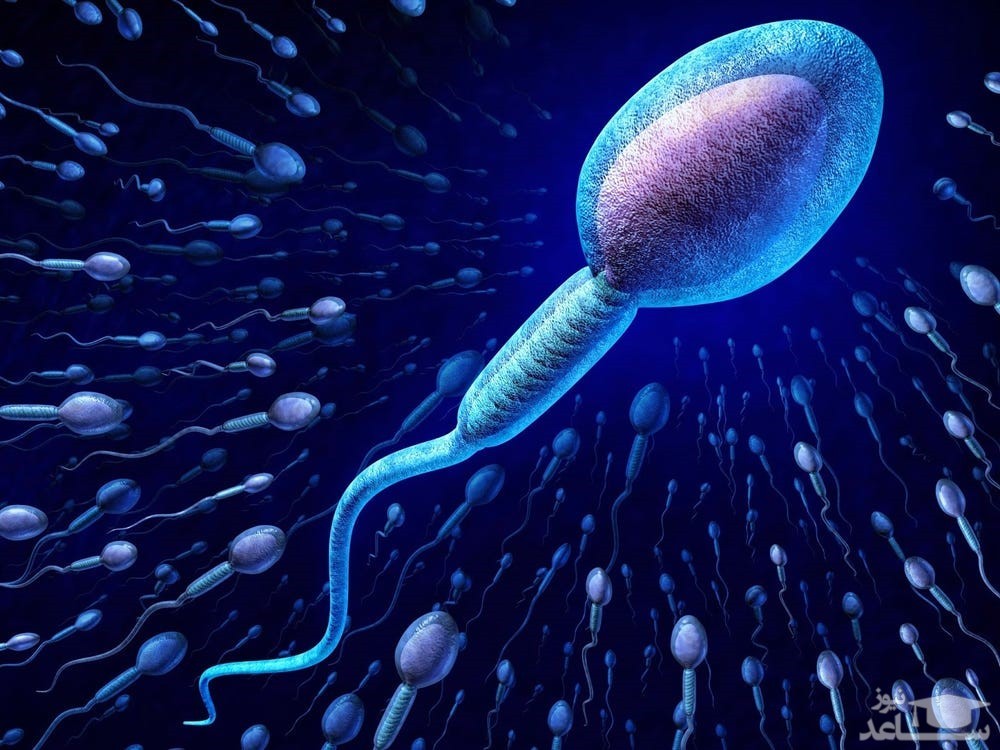 بررسی مشکلات اسپرم در بارداری