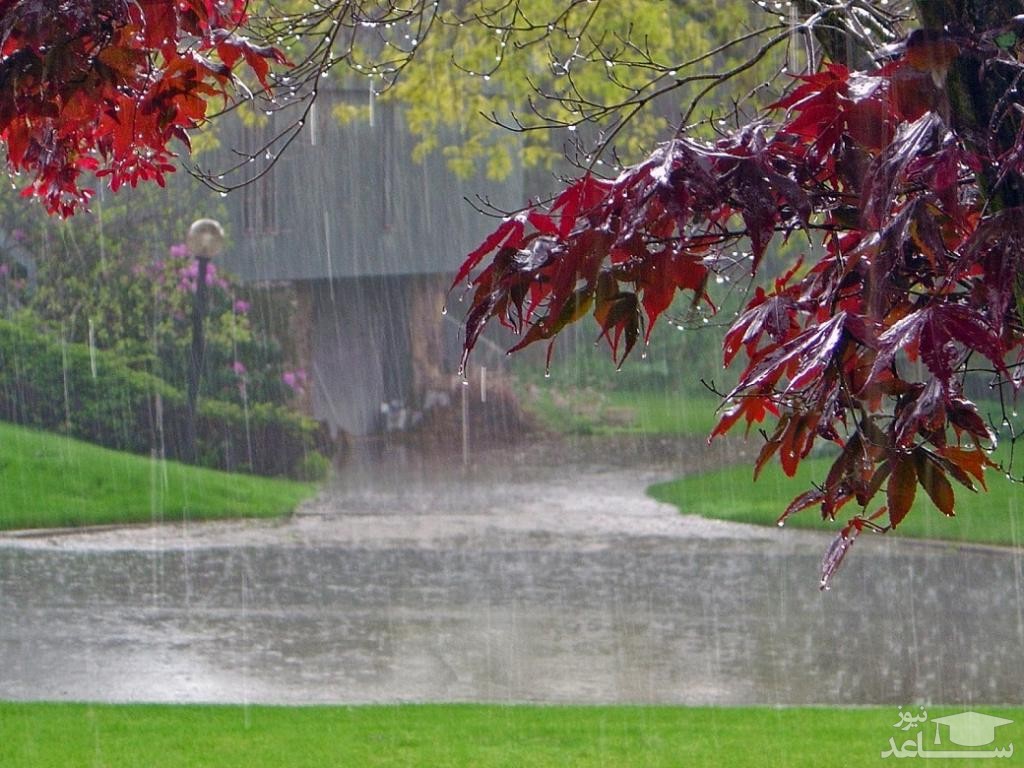 مجموعه اشعار زیبای باران