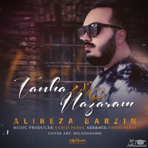 دانلود آهنگ تنها نزارم از علیرضا برزین
