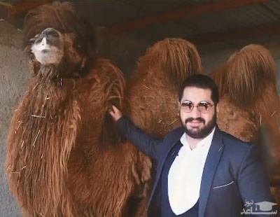 تبلیغ‌کننده مزایای نوشیدن ادرار شتر بازداشت شد