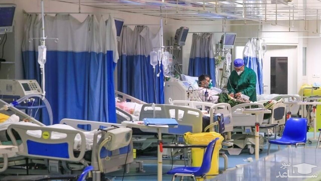 (فیلم) خبر خوب کرونایی رئیس بخش عفونی بیمارستان مسیح‌ دانشوری 