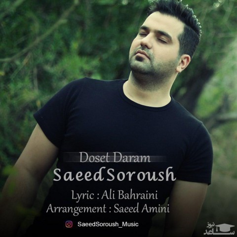 دانلود آهنگ دوست دارم از سعید سروش