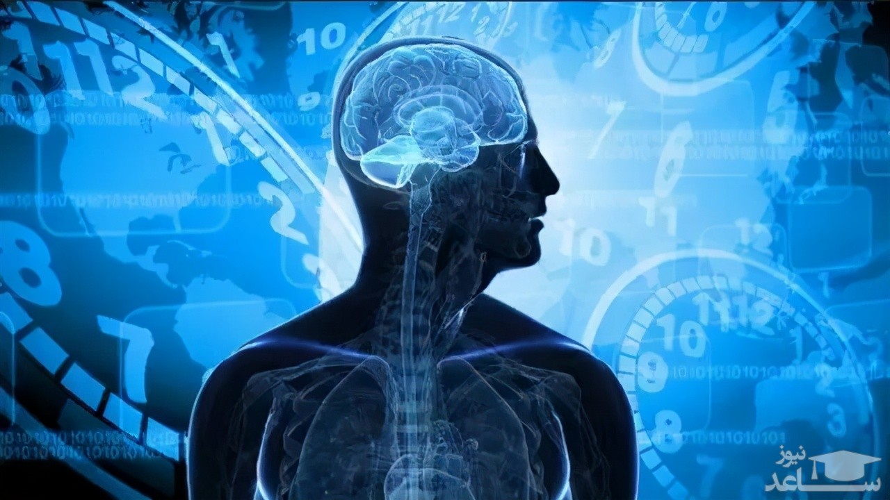 انسان حداکثر چند سال عمر می‌کند؟