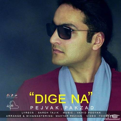 دانلود آهنگ دیگه نه از پژواک پاکزاد